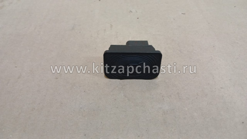 Кнопка открывания двери задка багажника  Geely Coolray NEW 7045068100